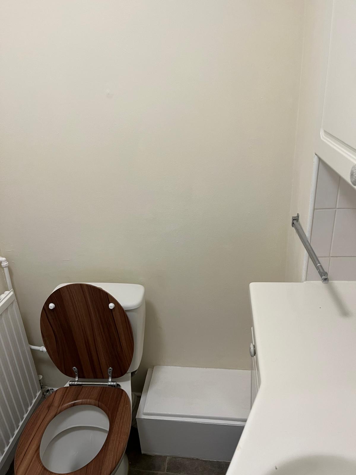 Cloakroom wall painted cream behind the toilet