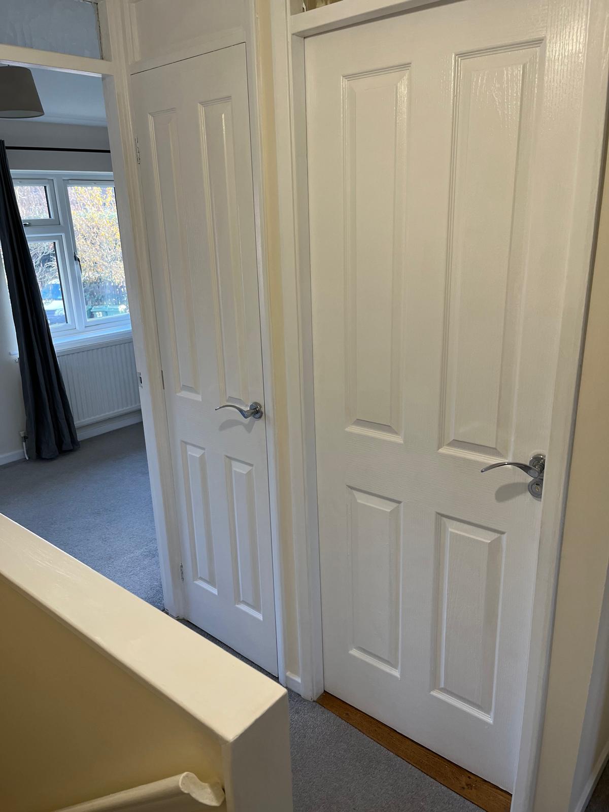 Two panelled doors freshly glossed white