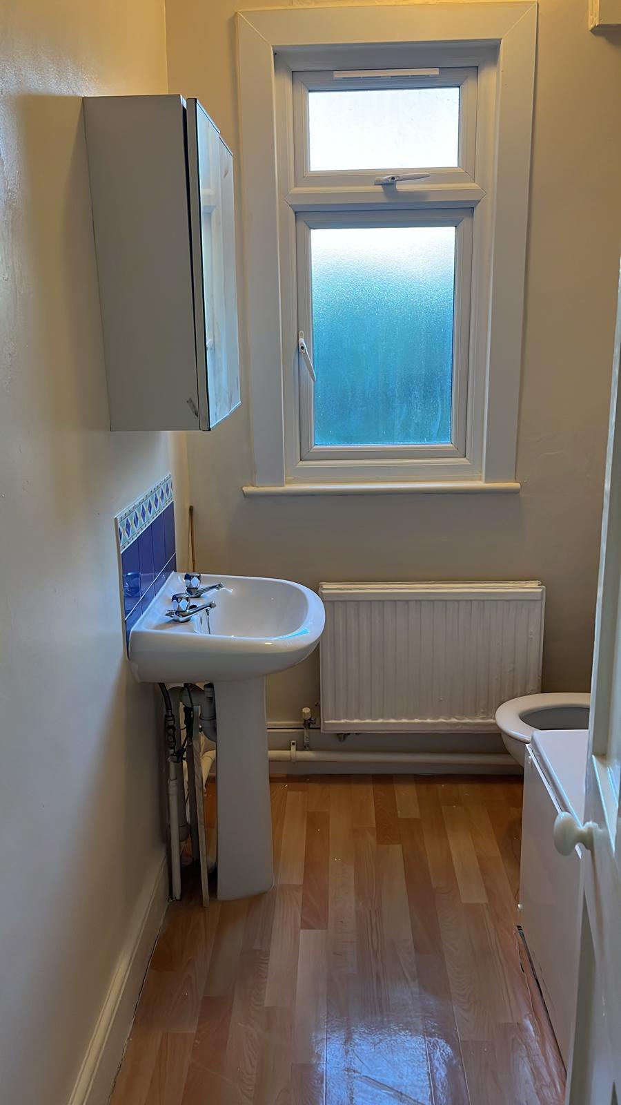 Bathroom with basin, painted walls and window